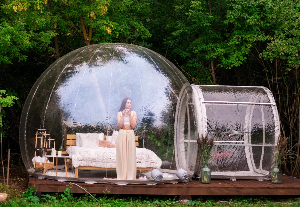 night sky bubble tent