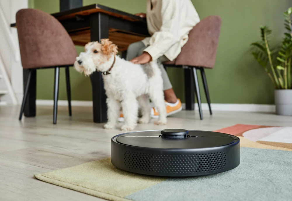 robot vacuum cleaning