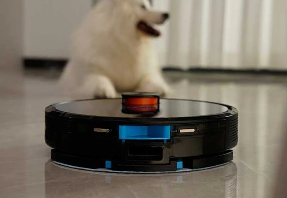 robot vacuum cleaning