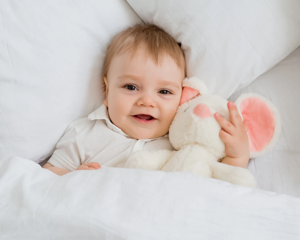 infant bassinet for bed