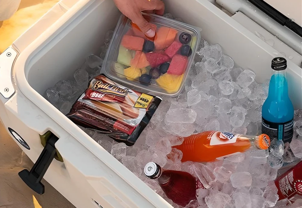 cooler box for ice cream