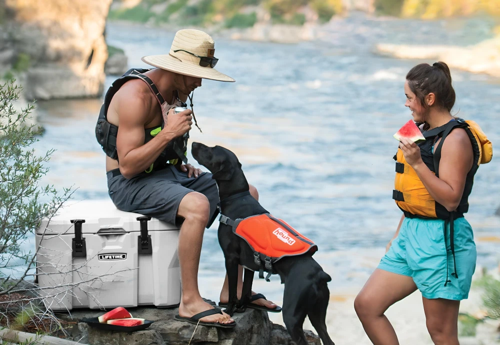 car ice chest cooler