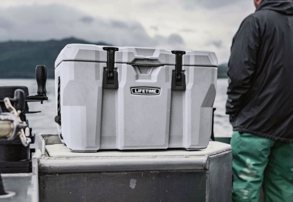 cooler box for ice cream