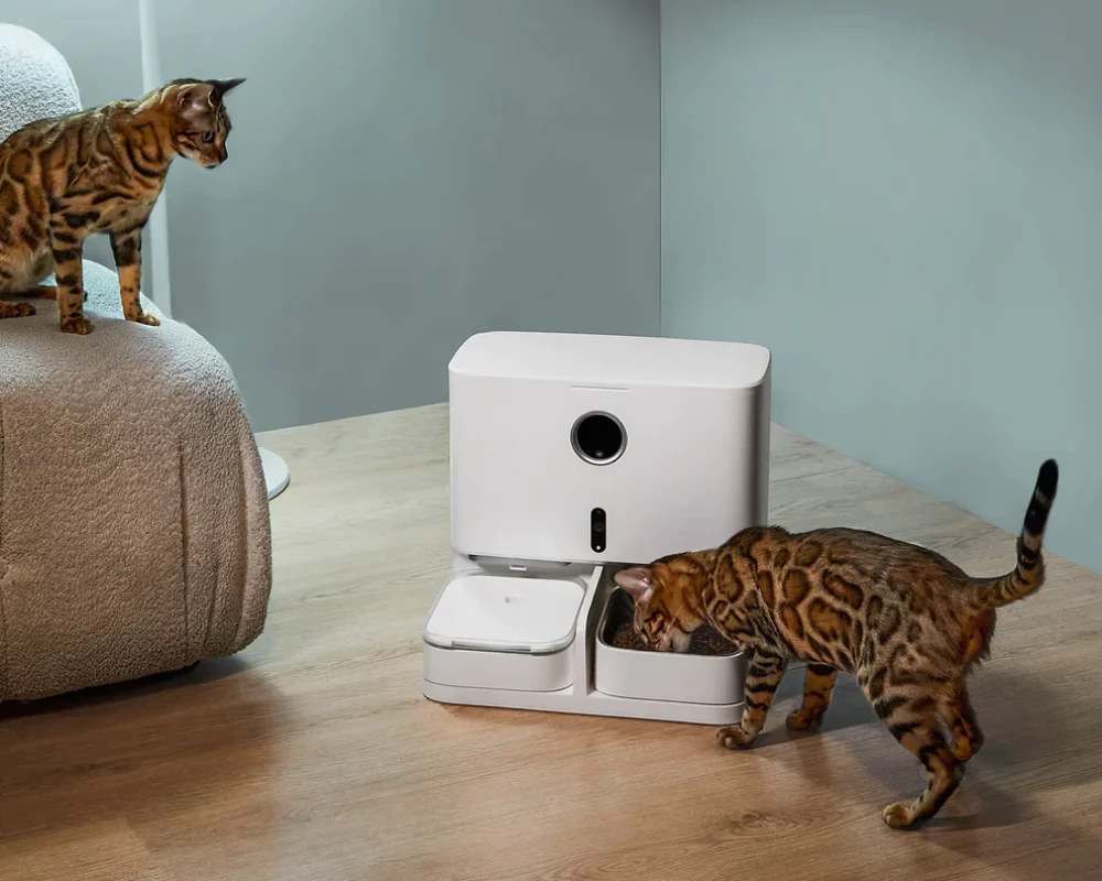 best cat feeder with camera